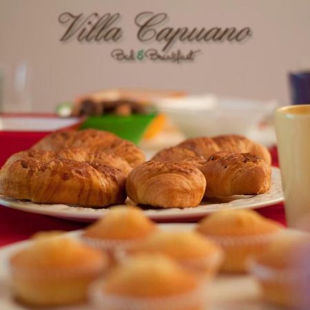 Villa Capuano B&B Камилятело Силано Екстериор снимка