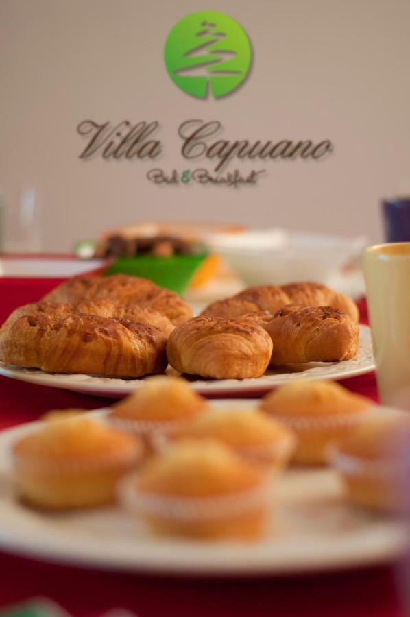 Villa Capuano B&B Камилятело Силано Екстериор снимка